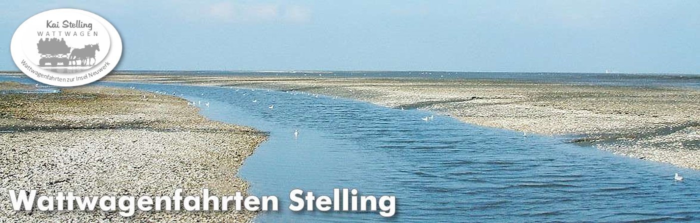 Mit dem Wattwagen von Cuxhaven zur Insel Neuwerk