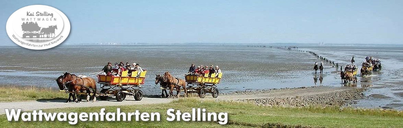 Mit dem Wattwagen von Cuxhaven zur Insel Neuwerk