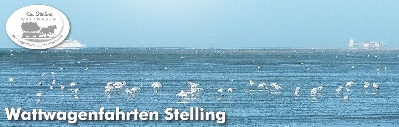 Mit dem Wattwagen von Cuxhaven zur Insel Neuwerk